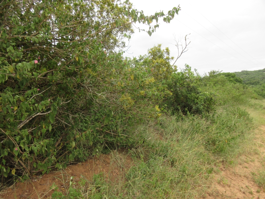 0 Bedroom Property for Sale in Bathurst Eastern Cape